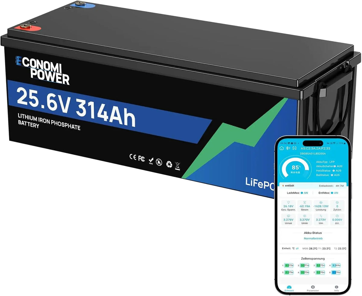 EconomiPower Akku LiFePO4, 7680 Wh, 300 Ah, 24 V
