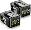 C DSANKE C Akku 2PACK, 2,7 Ah, 36 V